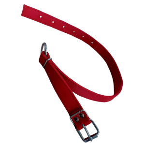 Pas hodowlany  Ci.sprzączka